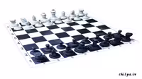 تحقیق در مورد شطرنج - چیلپا