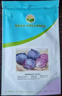 بذر کلم بفنش Red Berry/ Brassica (هیبرید)