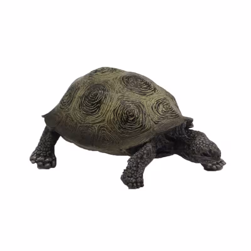 ماکت مدل لاکپشت خشکی کد 2101