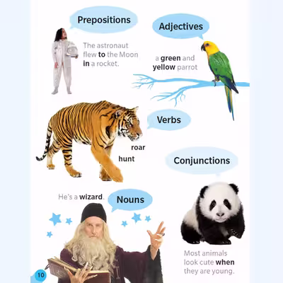 کتاب Grammar and Punctuation اثر Sheila Dignen نشر دیکی