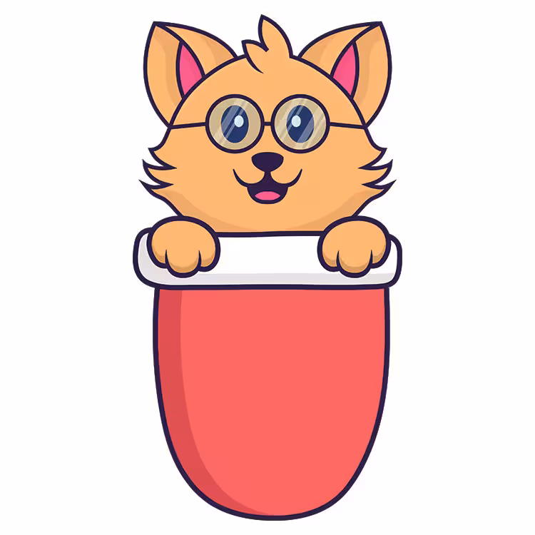 استیکر پارچه و لباس مدل دی تی اف طرح جیبی کد H10.75 مجموعه 5 عددی