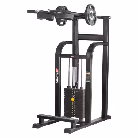 دستگاه ورزشی ساق پا ایستاده مبارز