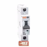 کلید مینیاتوری AC تک پل 25 آمپر 6kA رعد مدل RB/M-1P-25A