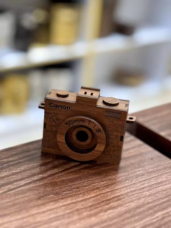 دوربین دکوری