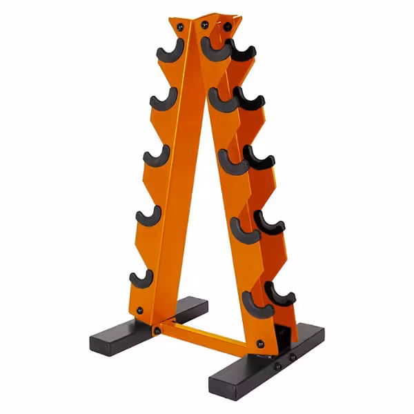 رک دمبل 2 طرفه 2-way dumbbell rack مدل NS01