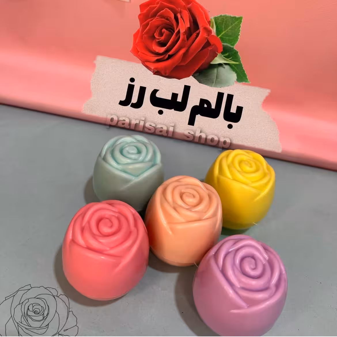 بالم لب گل رز