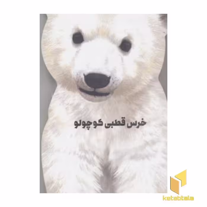 کتاب خرس قطبی کوچولو (مقوایی-رحلی) اثر جیووانی کاویزل نشر کتاب های زنبور- گاج