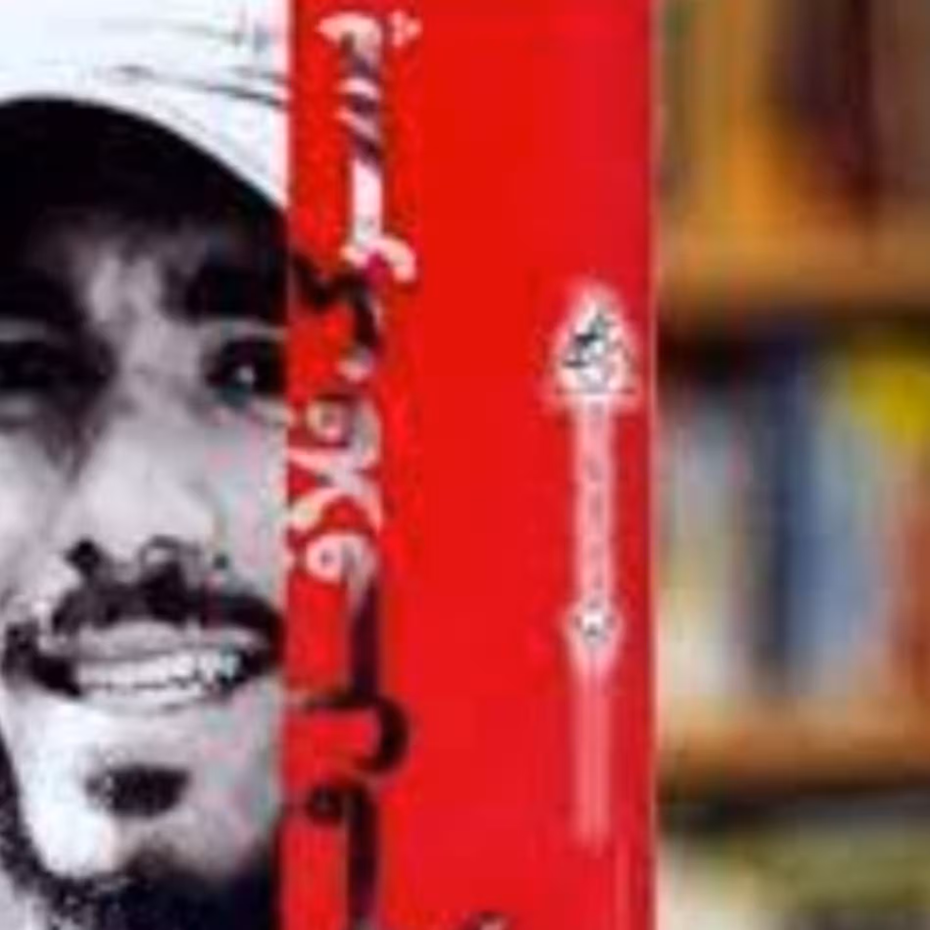 کتاب پسرک فلافل فروش (خاطرات بسیجی مدافع حرم محمد هادی ذوالفقاری )