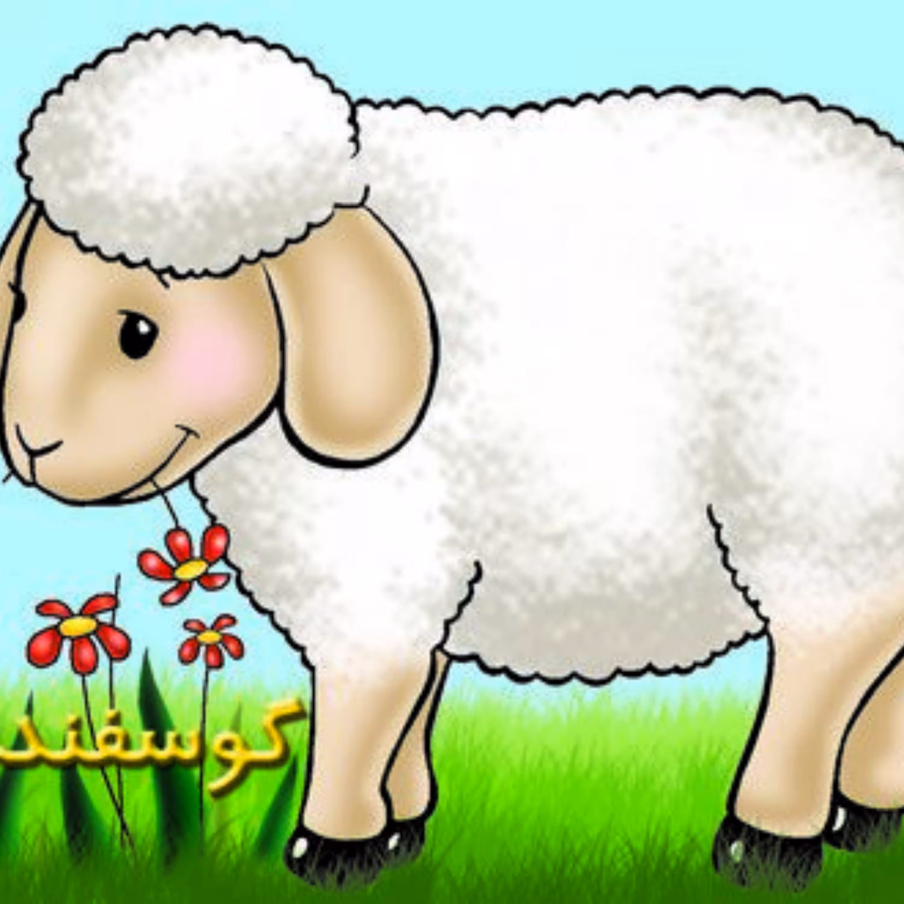 کتاب آموزش حیوانات مزرعه گوسفند