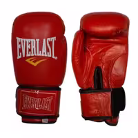 دستکش بوکس چرمی Everlast