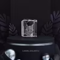 کریستال حکاکی شده سر گربه سه بعدی سایز 55در55در70