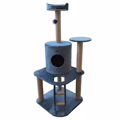 اسکرچر گربه هیوا پت مدل B39