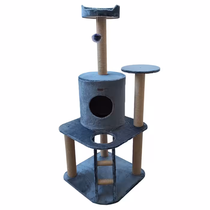 اسکرچر گربه هیوا پت مدل B39