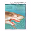 کتاب 100 حقیقت درباره ی کوسه ها اثر استیو پارکر انتشارات سایه گستر