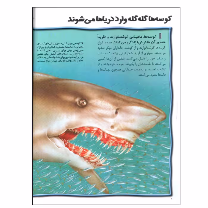 کتاب 100 حقیقت درباره ی کوسه ها اثر استیو پارکر انتشارات سایه گستر