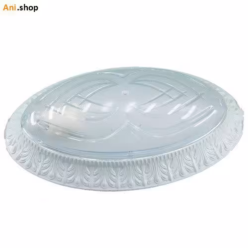 چراغ دیواری بیضی سرویس