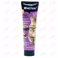 خمیر مالت گربه وینستون وزن 100 گرم