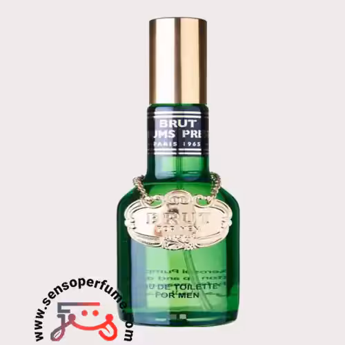 عطر ادکلن مردانه کاتیر بروت | cartier brut for men