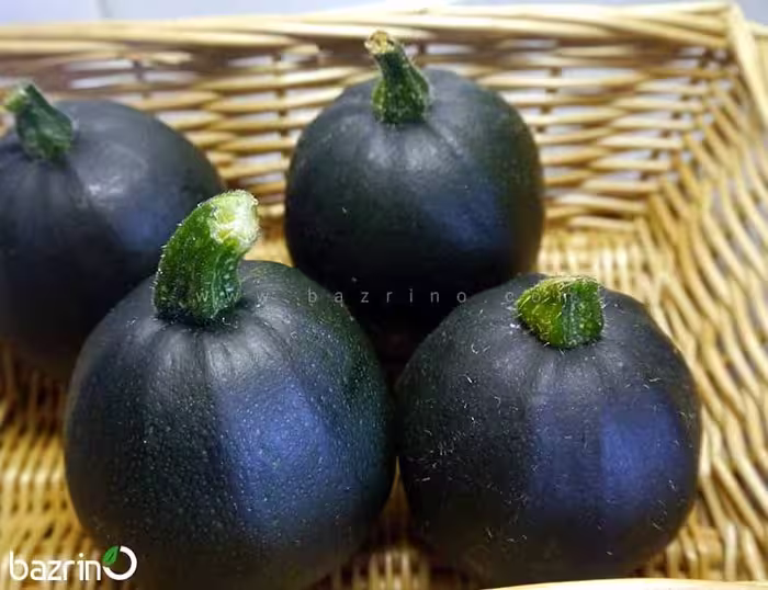 بذر کدو خورشتی، رقم گرد سیاه