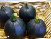 بذر کدو خورشتی، رقم گرد سیاه