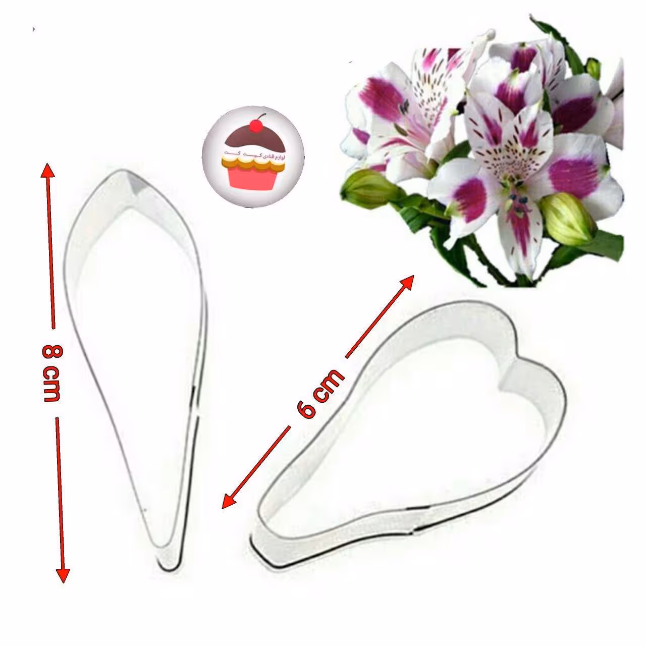 کاتر استیل گلبرگ