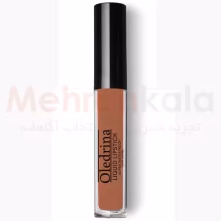 رژ لب مایع الدرینا مدل Super Waterproof شماره 613