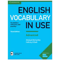 English Vocabulary In Use Advanced