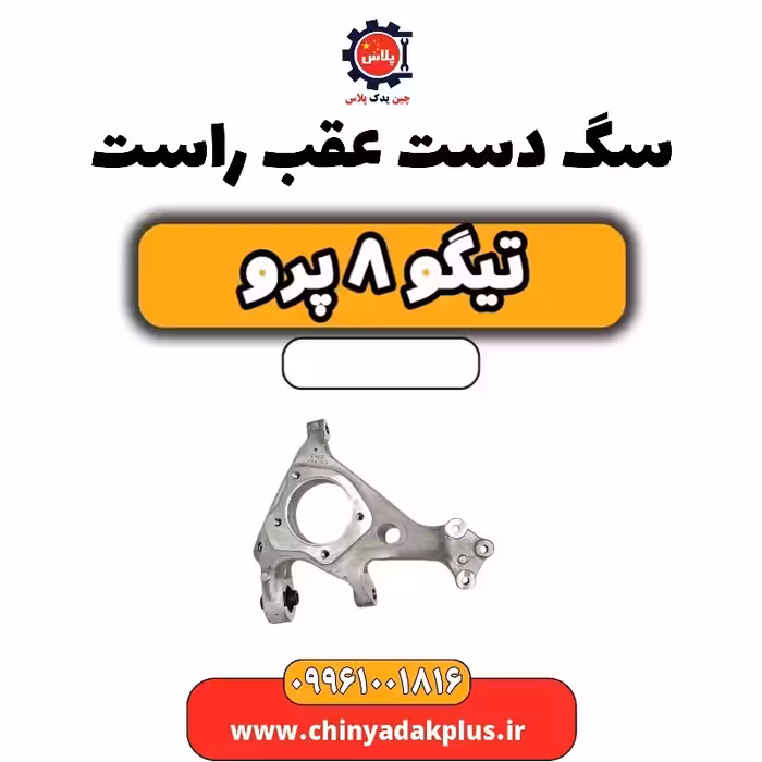سگ دست عقب راست تیگو 8 پرو