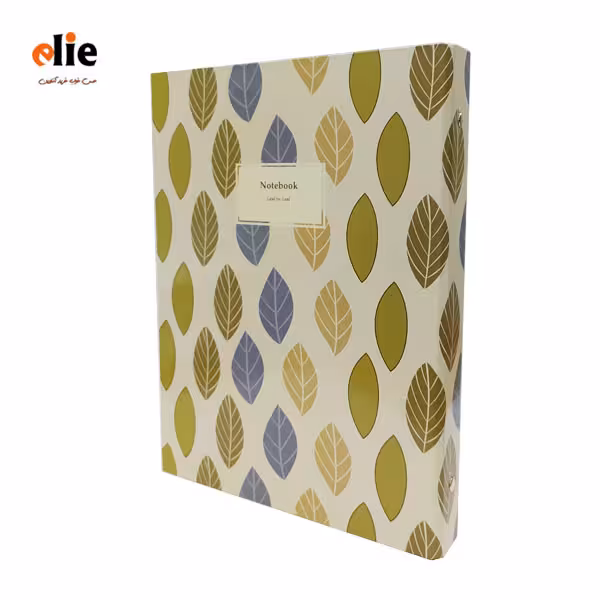 دفتر کلاسوری 100 برگ پاپکو جلد سخت طرح 61804