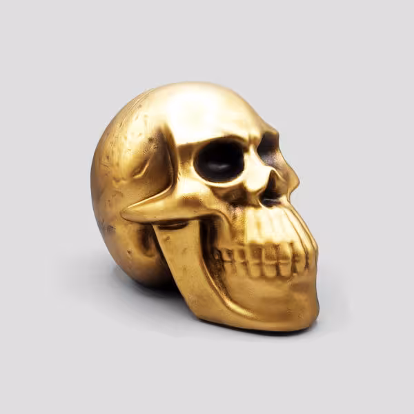 مجسمه جمجمه بزرگ SK-Wht265