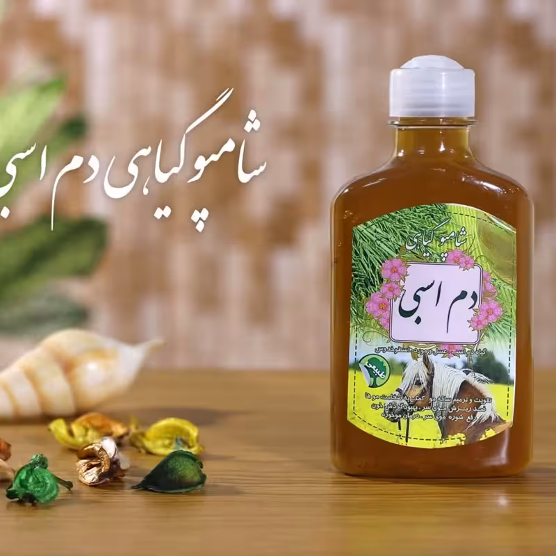 شامپو گیاهی دم اسبی برکت (بهبود کیفیت مو)(مناسب موهای معمولی و خشک)(مناسب افراد دموی و صفراوی) | amazonchi
