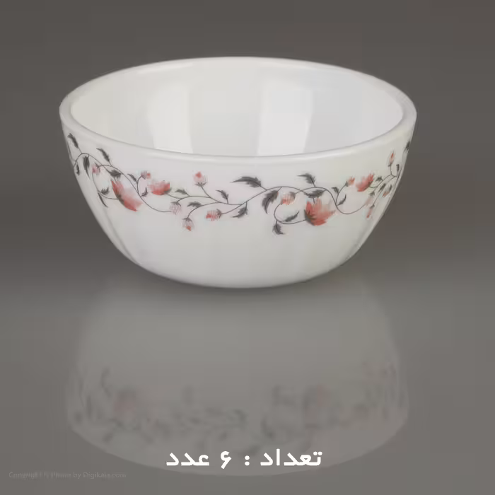 سرویس غذا خوری 25 پارچه آیروپال طرح کنگره مدل گلوریا