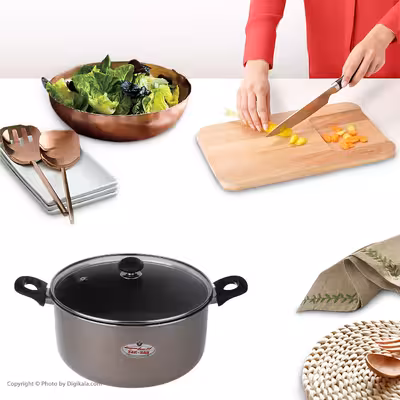 قابلمه زرساب سری نرگس مدل NS-428GT سایز 28