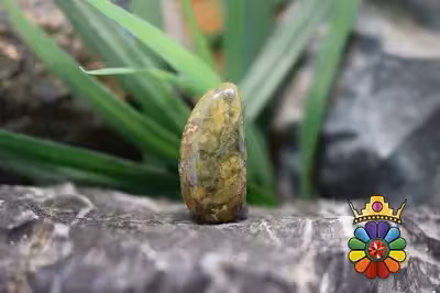 جاسپر جنگل بارانی(ریولیت استرالیا)