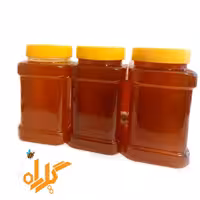 عسل طبیعی داماش (خریدبدون واسطه از زنبوردار)