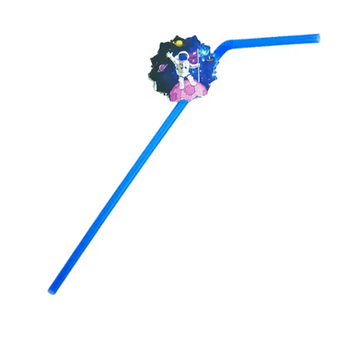 نی تم تولد فضانورد