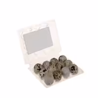 تخم بلدرچین 12 عددی