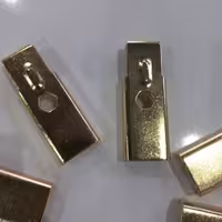 بست طلائی رگال