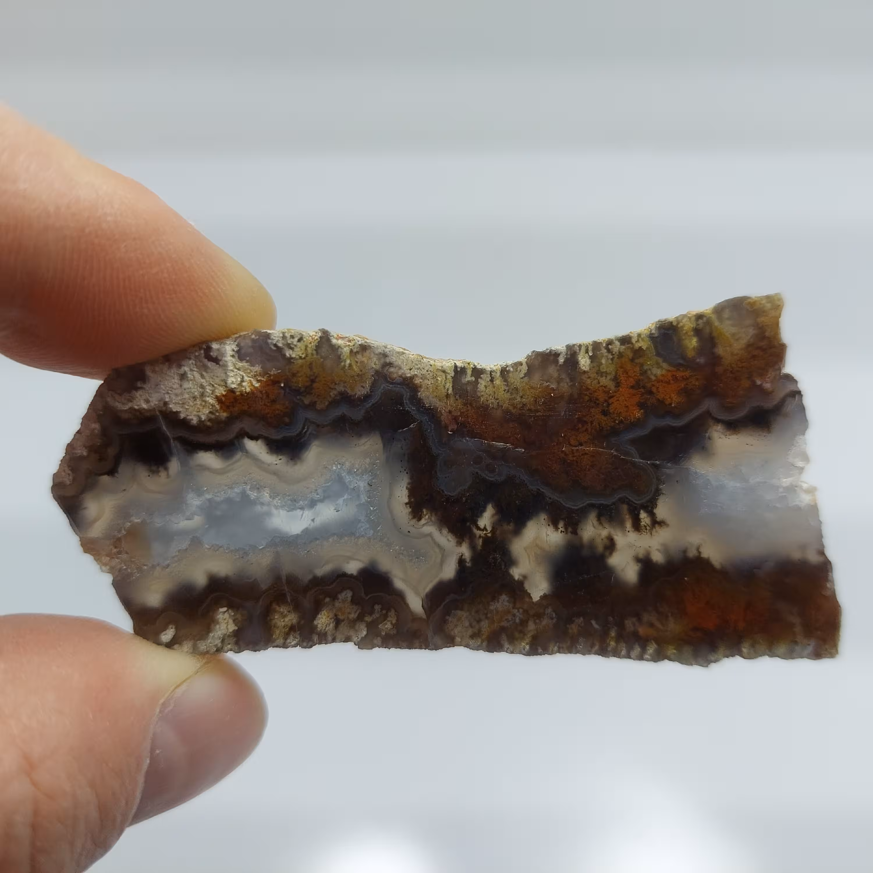 اسلایس سنگ عقیق شجر دریایی بسیار زیبا با پولیش عالی