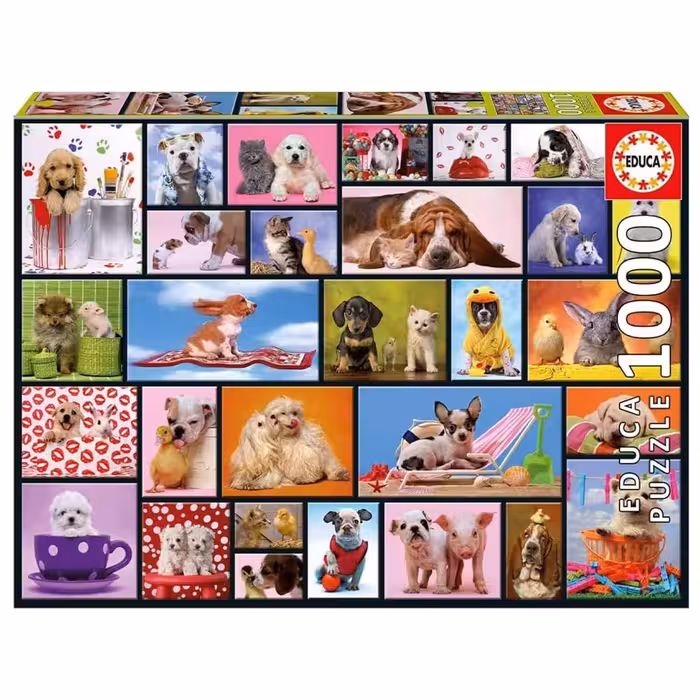 پازل 1000 قطعه Educa طرح لحظه‌های مشترک
