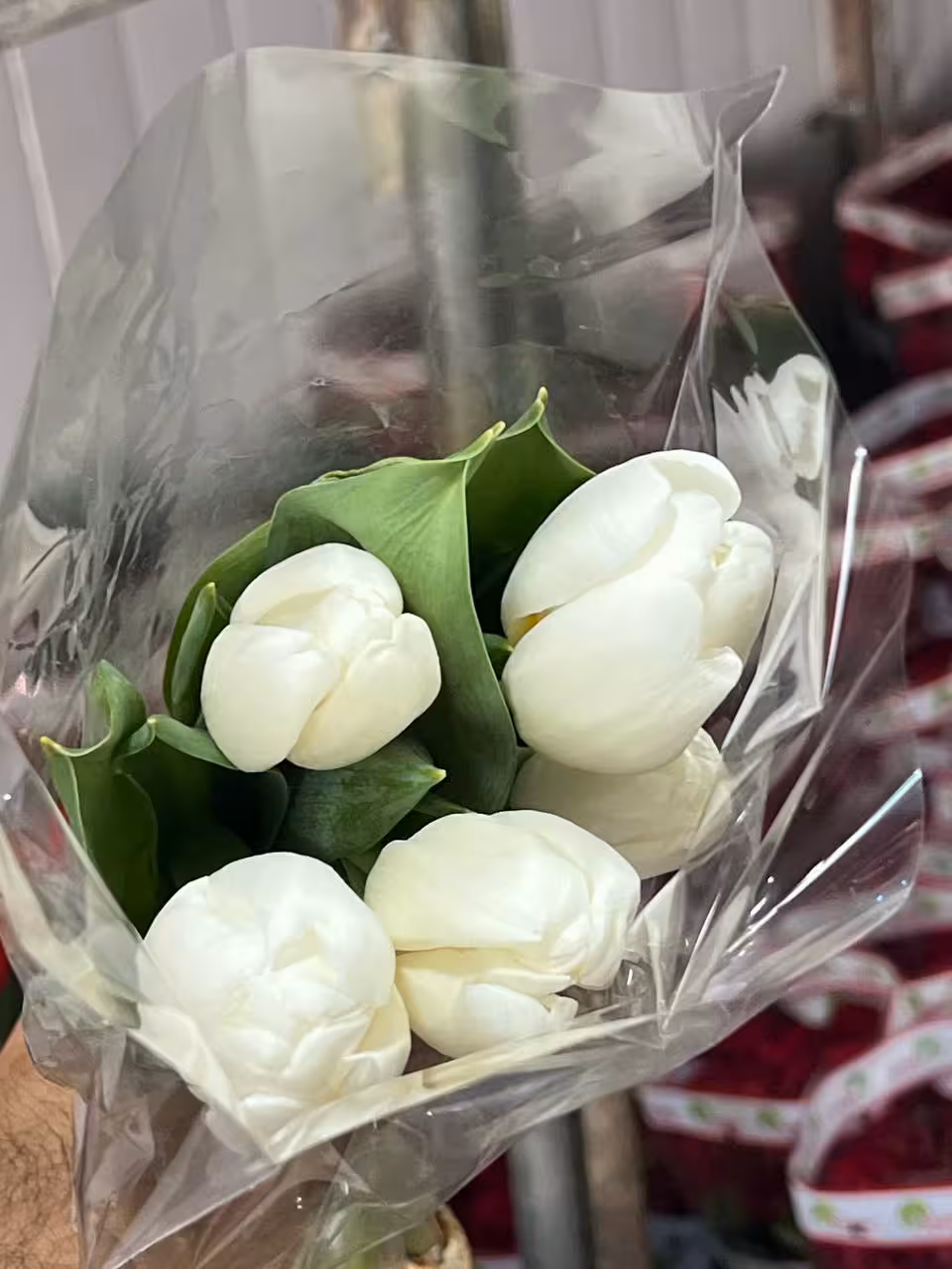 لاله طبیعی سفید دسته 5عددی