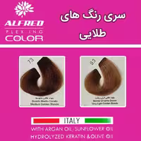 سری رنگ های طلایی رنگ مو الفرد ALFRED