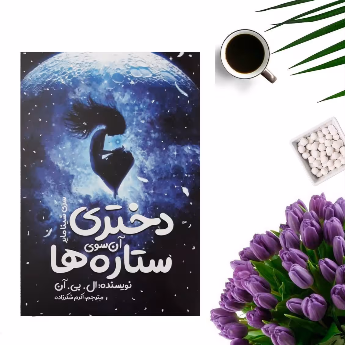 کتاب دختری آن سوی ستاره ها اثر ال بی آن انتشارات نگاه آشنا