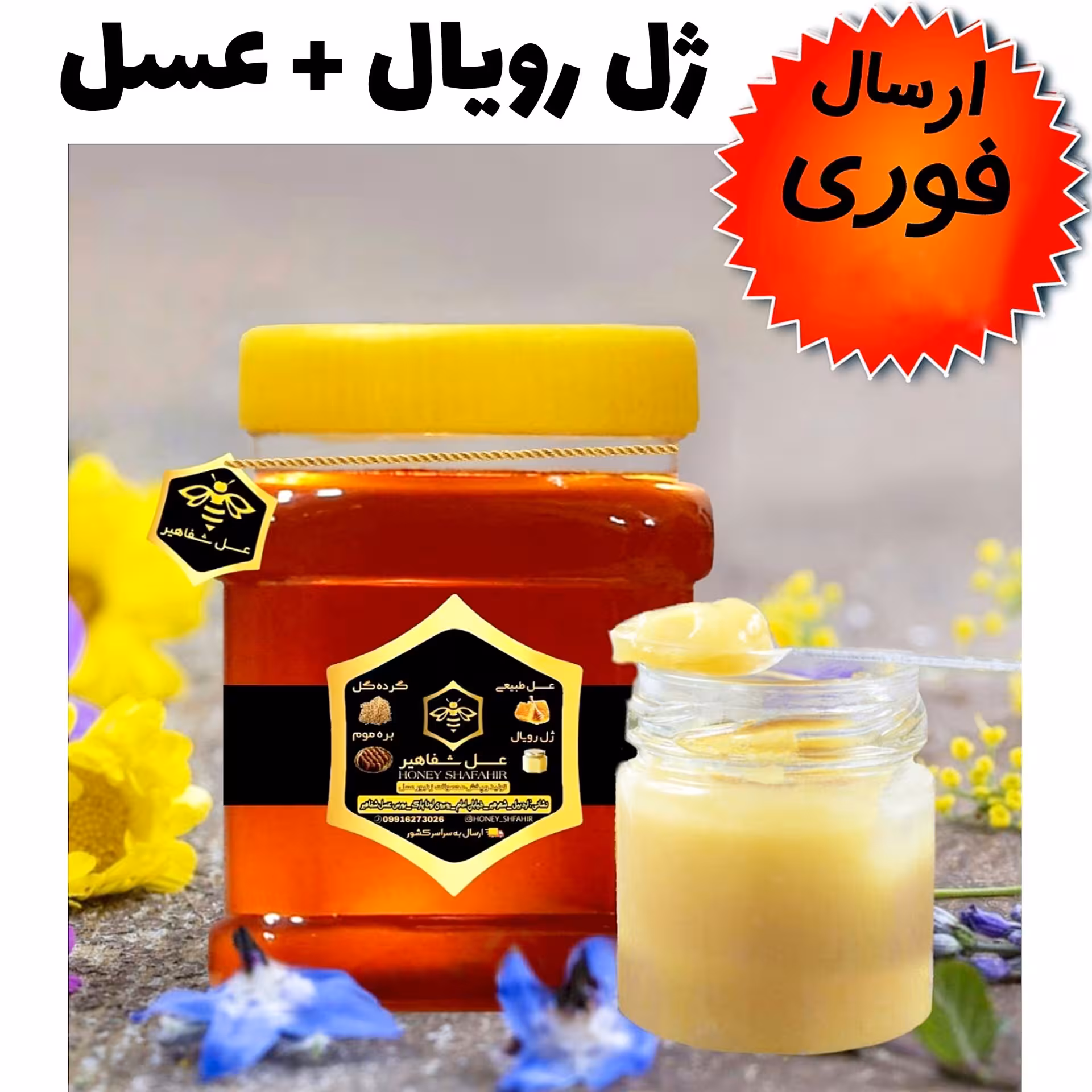 ژل رویال و عسل شفاهیر(مخلوط10گرم ژل رویال با 250 گرم عسل طبیعی جنگلی)(ارسال فوری)(مستقیم از زنبوردار)