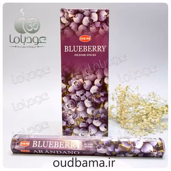 عود بلوبری BLUEBERRY ( هم HEM ) میوه ای