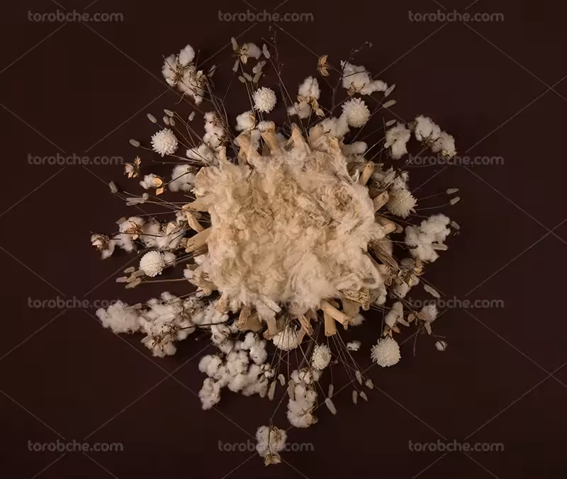 بک دراپ عکاسی کودک با گل پنبه | گرافیک با طعم تربچه