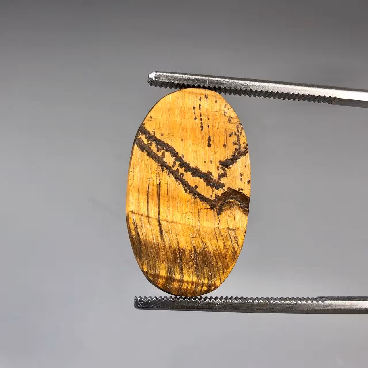 راف سنگ چشم ببر اصل بیضی 250925