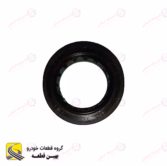 کاسه نمد شافت آریو