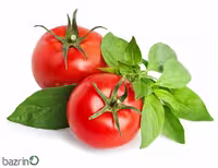 بذر گوجه کبابی قرمز درختی