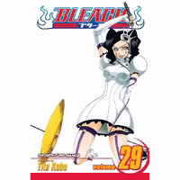 Bleach v29